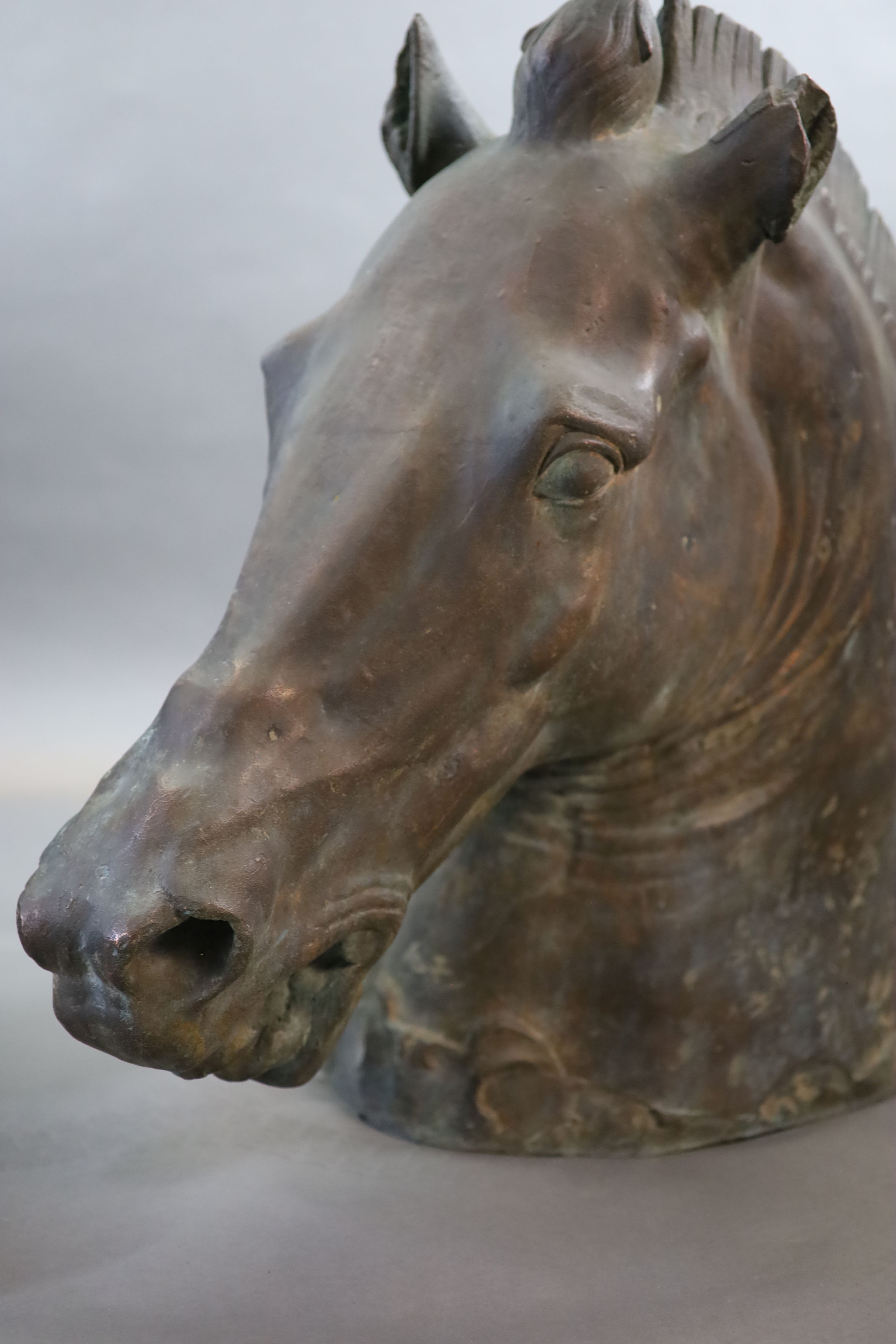 A large and impressive full-size bronze model after the Medici Riccardi horse’s head, 20th century, 97cm long, 80cm high